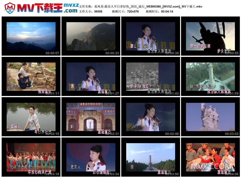 张凤英-愿亲人早日养好伤_国语_流行_ME800380